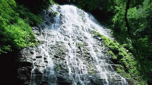 精密高效科技